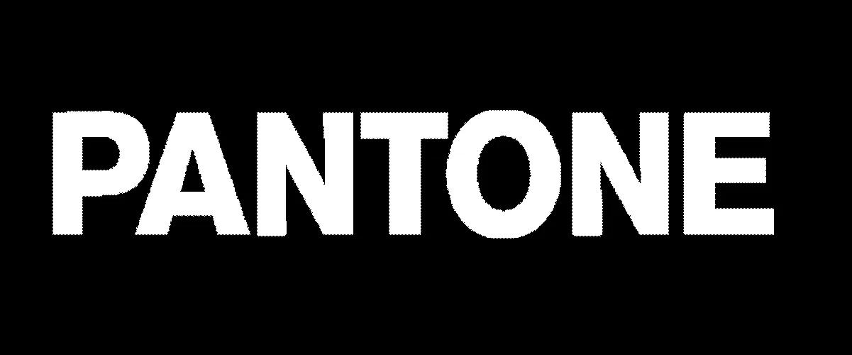 pantone logo