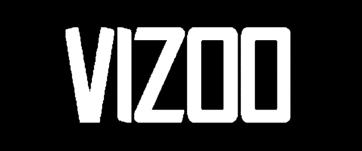 vizoo logo